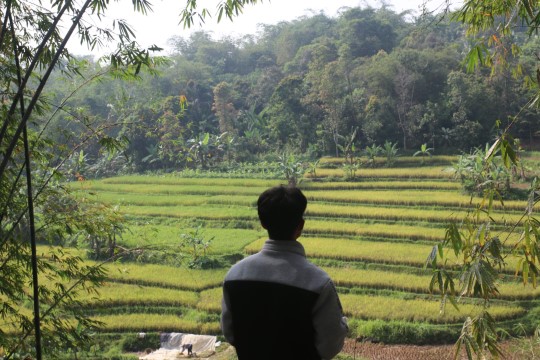 lahan-wakaf2.jpg