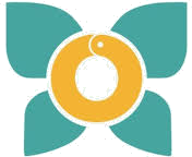 SEFT Corp