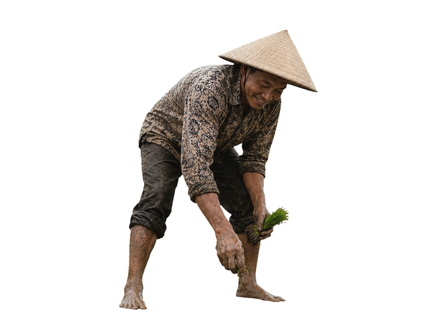 Petani menanam padi di sawah wakaf