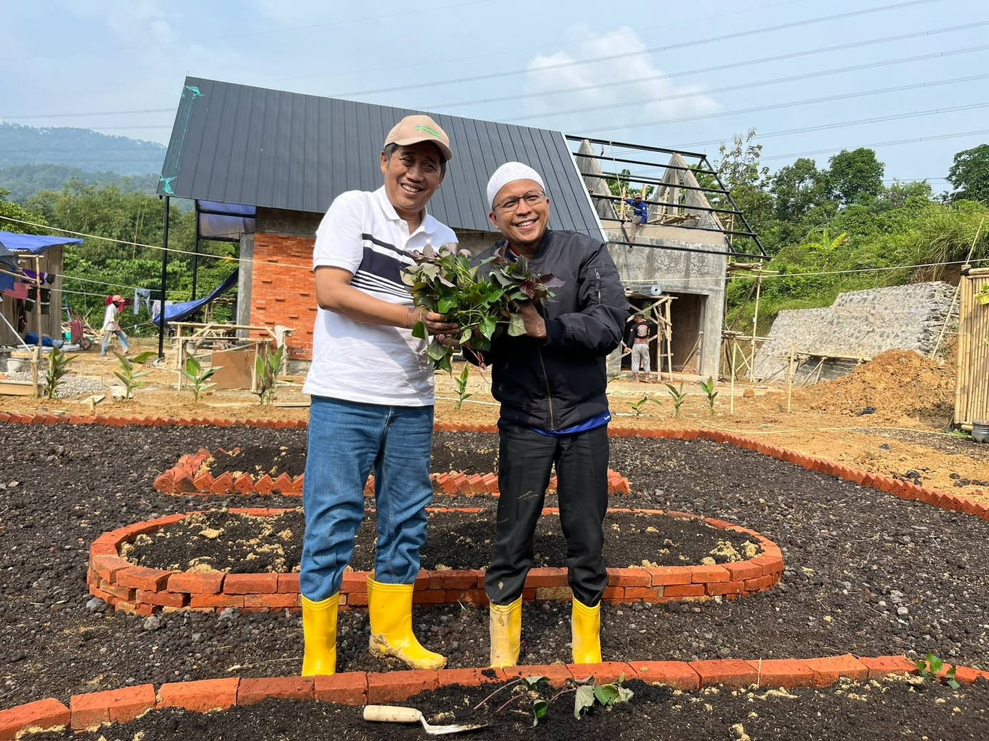 Dua orang memegang bibit ubi ungu di bedeng kebun kawasan, bangunan yang sedang dibangun tampak di belakang