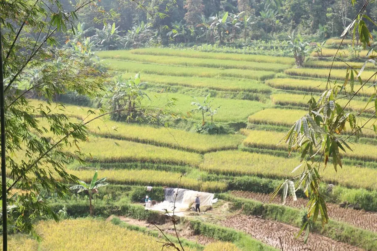Lahan wakaf Kampoong Ecopreneur